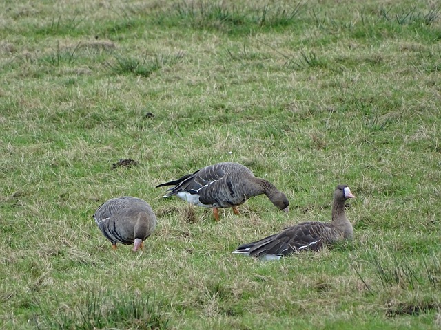 年轻一代如 年轻一代如
