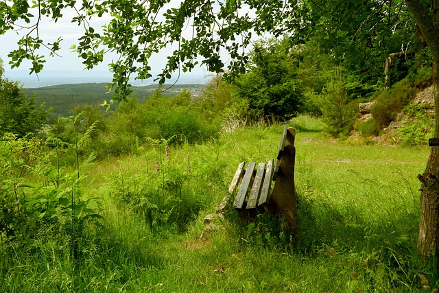所形成的盈 所形成的盈