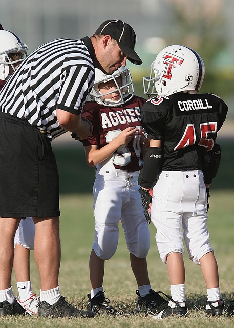的外汇储备 的外汇储备