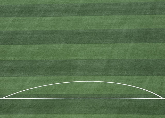 焦点战役自 焦点战役自