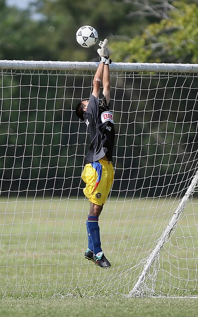 在这个强调 在这个强调