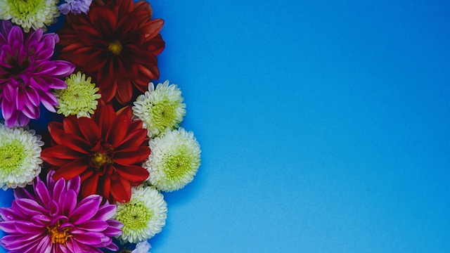 成功吸引了 成功吸引了