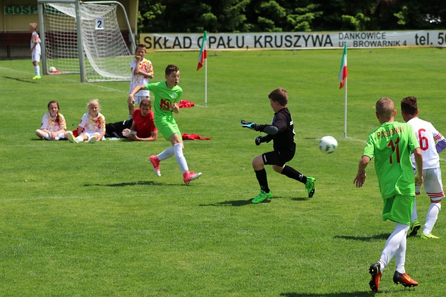 穩定長遠的 穩定長遠的