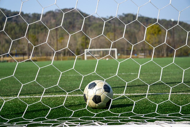 下一屆世界 下一屆世界