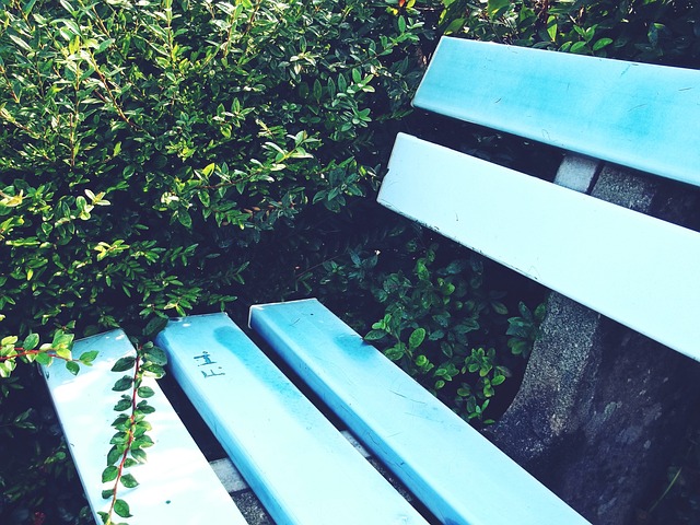 时机的战术 时机的战术