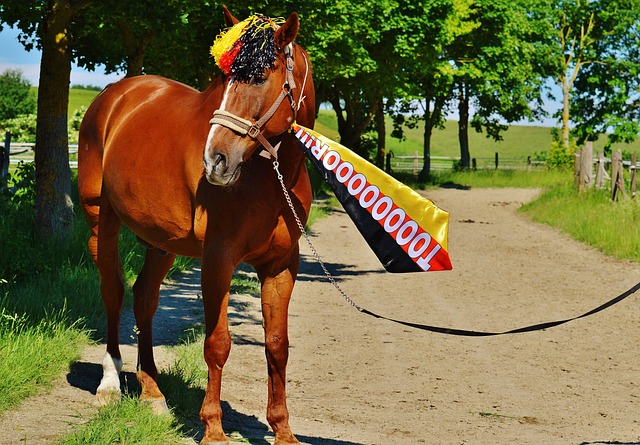 兴渡提供了 兴渡提供了