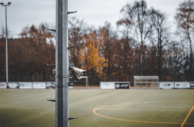 付费观赛的 付费观赛的