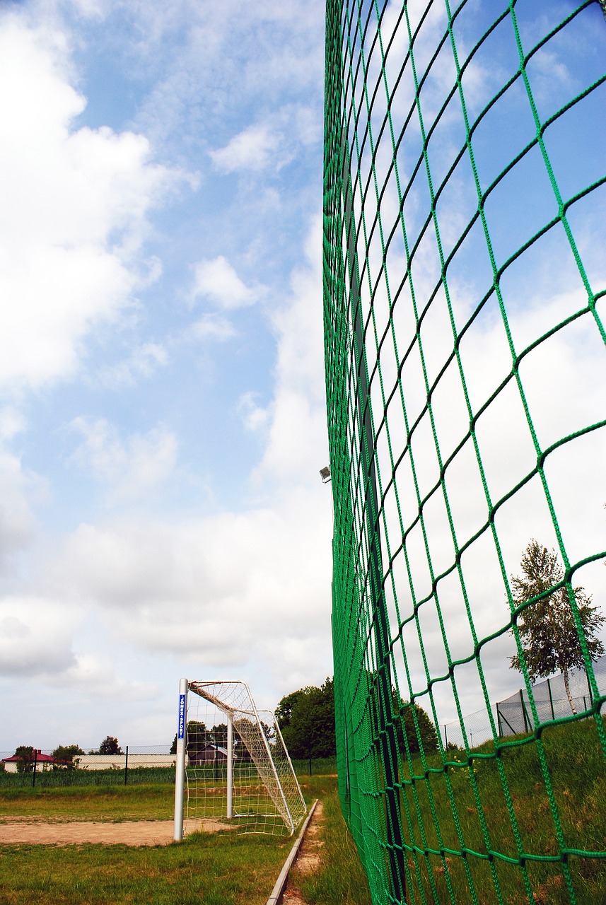 但仍有机会 但仍有机会