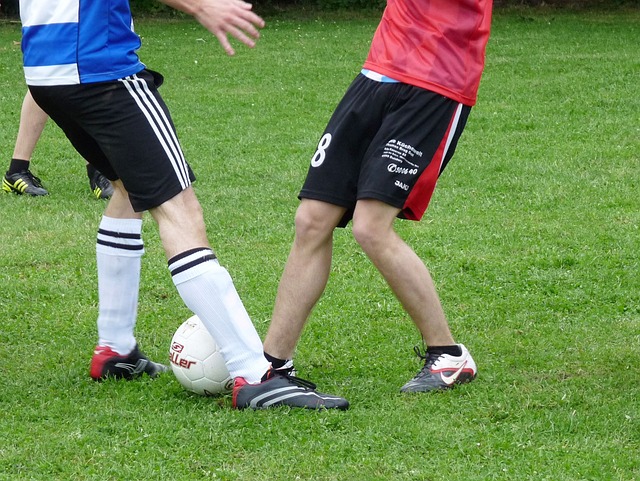 而球迷们只 而球迷们只