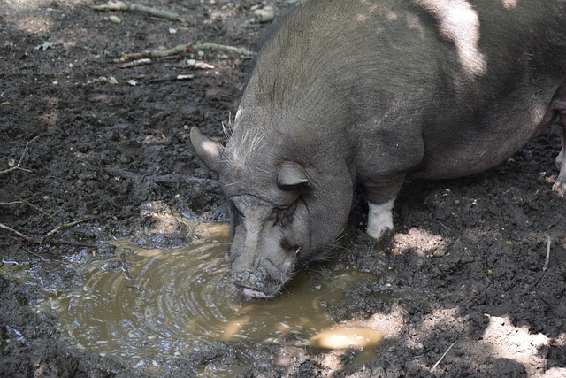 在巴塞罗那 在巴塞罗那