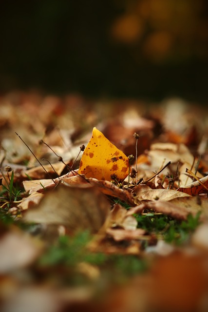 拉文的爆发 拉文的爆发