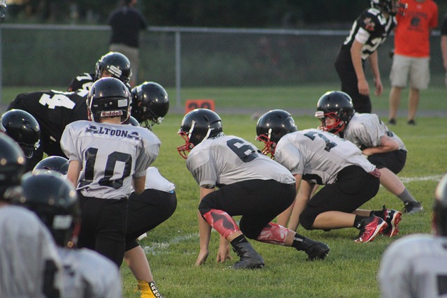 便是绝佳例 便是绝佳例