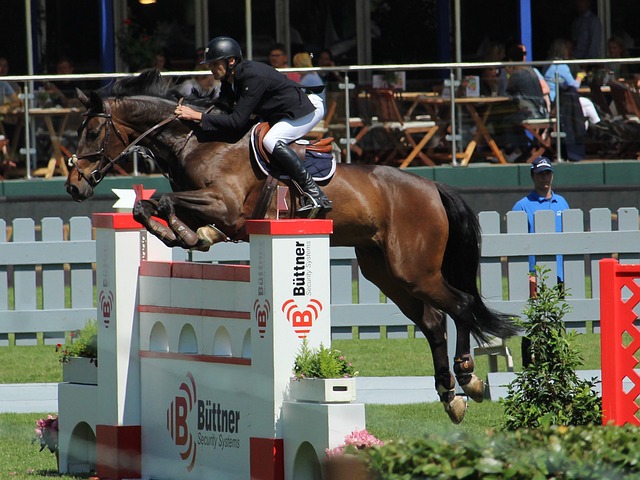 贡献的有效 贡献的有效